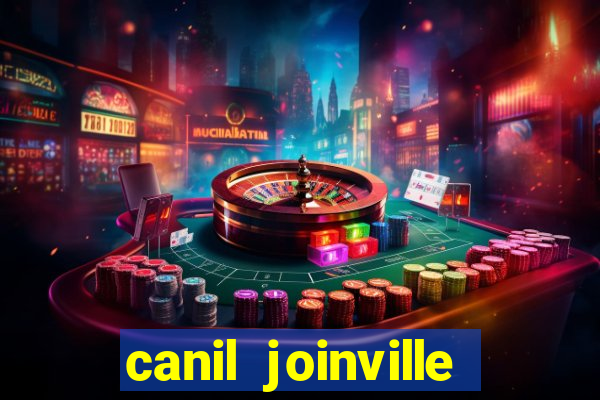 canil joinville vila nova